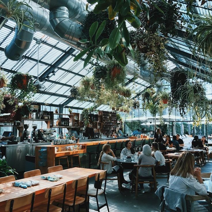 School choices for expat families in Springfield, United States